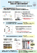 Technical Introduction Document: Selectively Controlling Yeast! Innovative Fermentation Technology Using Magnetic Field [Kagoshima University]