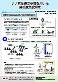 ナノ抗体提示多糖を用いた高感度免疫測定［埼玉大学］