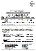 エネルギー危機を成長機会に変える 国産エネルギーとしての再エネ拡大と政策・制度の次なる一手
