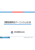 【解説資料】バーニッシュとは