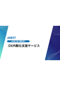 DX In-house Production Support Service