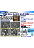 Technical Report: Investigation of the Causes of Wood Discoloration through SEM Observation