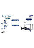 Smart-Carry