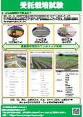 受託栽培試験