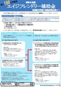 Age-Friendly Subsidy Flyer, Fiscal Year 2028