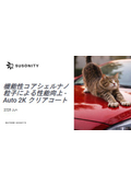 Clear coat for protecting against scratches and wear: 'Iriotec5500'