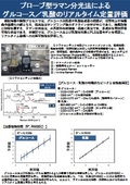 プローブ型ラマン分光法による グルコース／乳酸のリアルタイム定量評価