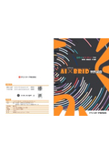 AIxBRID