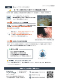 Case Study: Preventing Boiler Trouble with Iron