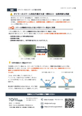 Case: Suppression of Scale Adhesion in the Boiler