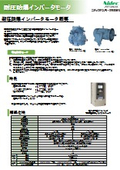 Pressure-resistant explosion-proof inverter motor