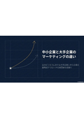 Differences in Marketing Between Small and Medium Enterprises and Large Corporations