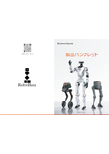 Humanoid robot