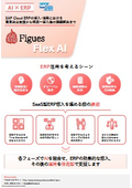 Figues Flex AI　SAP Cloud ERPの導入･活用における 意思決定支援から構築～導入後の課題解決まで