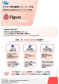 Figues Owl　クラウドERP運用を“見える化”する、運用担当者の負担を減らすフクロウ (不苦労)