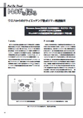 【資料】ウエハからのドライエッチング後ポリマー残渣除去