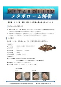 メタボローム解析〈事例〉クエの熟成