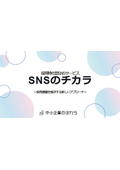 SNSのチカラ概要