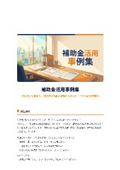 Collection of 29 Examples of Utilizing Subsidies
