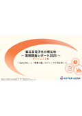 Current Status of Manufacturing Industry Digitalization - Reality Survey Report 2025 -