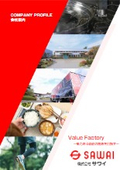 COMPANY PROFILE