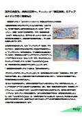 漁網由来ポリアミド