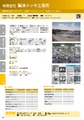 Washizu Plating Co., Ltd.