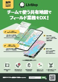 LivMap