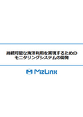 MizLinx Inc. Company Overview