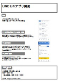 LINEミニアプリ|システム開発事例