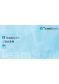 TeamSpirit