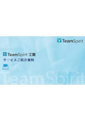 TeamSpirit man-hours