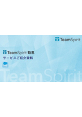 TeamSpirit Attendance