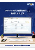 How to modernize SAP GUI without large-scale investment