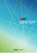 Shin-Nittan Co., Ltd. Company Profile
