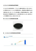 Porous carbon for silicon carbon