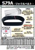 リックルベルト『S79A』