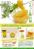 晩白柚シロップ漬(ごろっと晩白柚)リーフレット