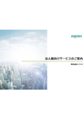 Enaris Corporate Services Comprehensive Catalog
