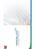 HINDALCO ENGINEERING BETTER FUTURES