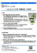12・2・1・7 Automatic mortar (stone mill) with rotating mortar, ideal for food processing.