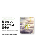 水耕栽培用スポンジ｜発芽・育苗用スポンジ培地カタログ