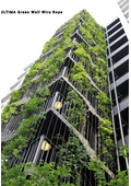 Outdoor Greening   Ultima Green Wall Wire Rope