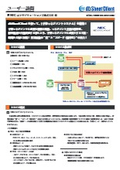 [Case Study] NEC Nexsolutions, Inc.