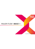 MAJOR FLOW - Function Introduction -