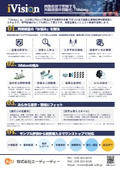 iVision flyer