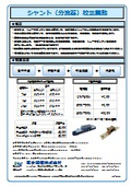 校正業務サービス (シャント）