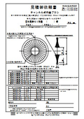 Inner Curl Brush_Customized Drawing