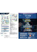 Email Archive and Audit Solution WISE Audit Catalog
