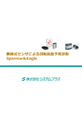 Eagle/Sparrow